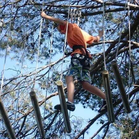 Alpha Centauri * Καρκασόν