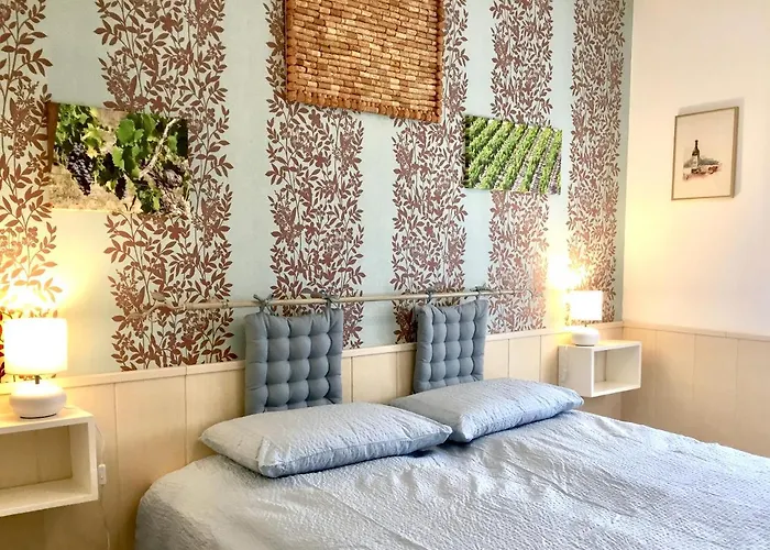 Villa Alpha Centauri Carcassonne